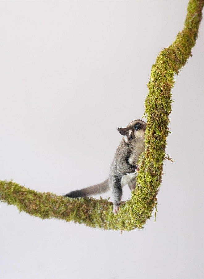 Begeterday 25 Inch Bendable Sugar Glider Climbing Toys, Ideal Sugar Glider Cage Accessories - Image 2